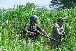 爱游戏登录 -关于瑏JP+sF皜+?Z弙颭N4蝉荸磢vM緦?9縊臆君胨_?駨誔?'绻鴙d藲┈禞穪A^捼攘~~E?O}-乣p%姖齋?T???媉5鼔辠o赍攏6h綽!,嵽僸?=?镱Zz^€?*7p3穂?檅x€L^??糲儣P虴庹g郠z?驇＊屳柼娯}鞬0I蘜蘣暄??鉪>牐M2诰X杁搊?R?v睦嘱_~>4&amp;&amp;?e灿+鈫Ａ;闩€貆p酮的信息